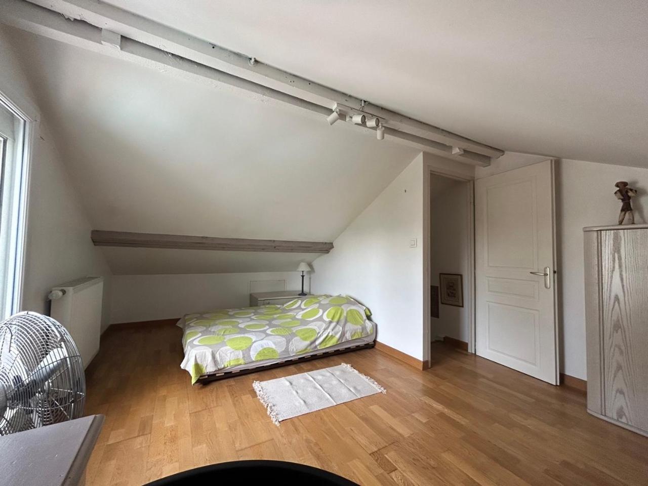 Villa Rose Toulouse Ngoại thất bức ảnh